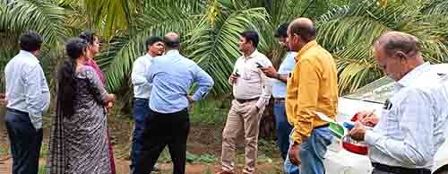 आत्मनिर्भर भारत अंतर्गत ऑयल पॉम योजना आत्मनिर्भर भारत अंतर्गत ऑयल पॉम योजना