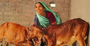 मनरेगा लाभार्थी पशु शेड बनने से अतिरिक्त आमदनी का ले रहे हैं लाभ मनरेगा लाभार्थी पशु शेड बनने से अतिरिक्त आमदनी का ले रहे हैं लाभ