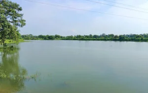 धमतरी जिले का कन्हारपुरी बना प्रदेश का सबसे बड़ा अमृत सरोवर धमतरी जिले का कन्हारपुरी बना प्रदेश का सबसे बड़ा अमृत सरोवर
