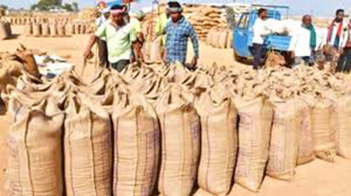 मुख्यमंत्री के मार्गदर्शन में सुगमता से हो रही धान की खरीदी