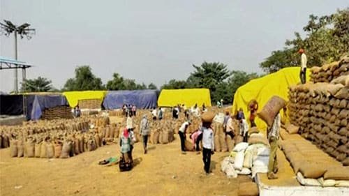 सकारात्मक पहल: पाटन के सेलूद धान खरीदी केंद्र का सराहनीय प्रबंधन