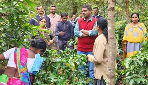 कलेक्टर ने कॉफी प्लांटेशन क्षेत्रों का किया निरीक्षण दौरा