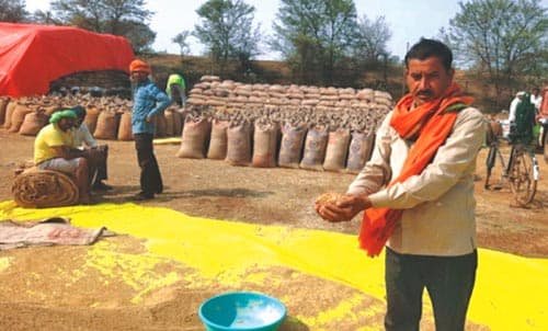 प्रगतिशील कृषक धनेश रबी फसल की तैयारी में