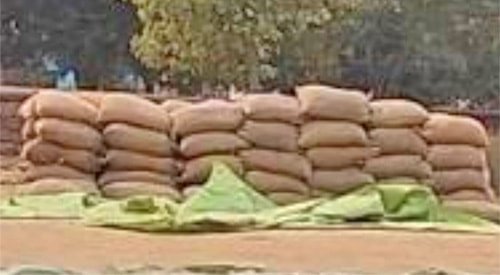 270 कट्टा धान जप्त, धमधा मण्डी को किया गया सुपुर्द