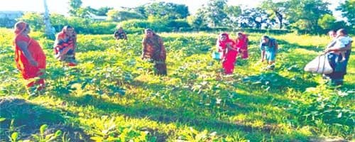 स्व-सहायता समूह की महिलाओं ने पकड़ी आत्मनिर्भर बनने की नई राह