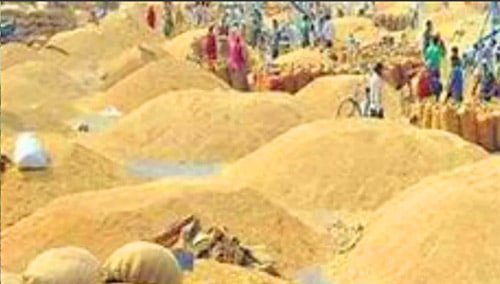 छत्तीसगढ़ में बना धान खरीदी में नया कीर्तिमान: 149.25 लाख मीट्रिक टन धान की हुई खरीदी छत्तीसगढ़ में बना धान खरीदी में नया कीर्तिमान: 149.25 लाख मीट्रिक टन धान की हुई खरीदी