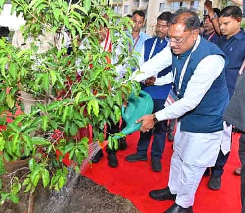 मुख्यमंत्री ने आईआईएम रायपुर परिसर में किया सुशासन वाटिका का शुभारंभ