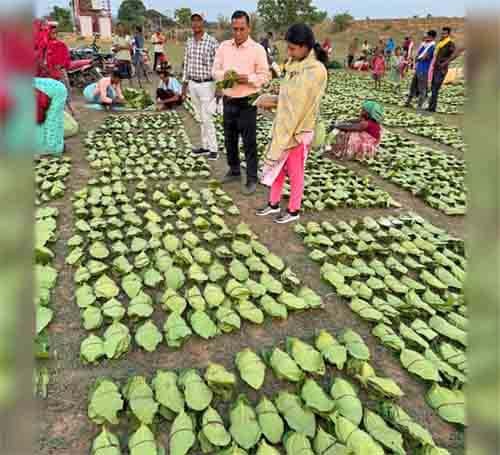 मुख्यमंत्री श्री विष्णु देव साय 21 जून को करेंगे प्रदेशव्यापी चरण पादुका योजना का शुभारंभ
