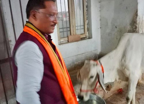 गौ-सेवा से ही मिलती है सच्ची शांति और ऊर्जा : मुख्यमंत्री विष्णु देव साय