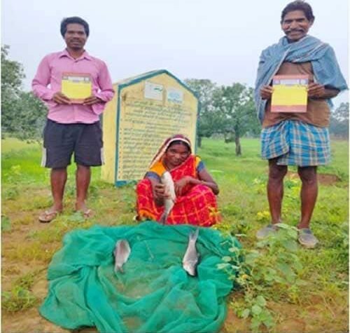 सफलता की कहानी: किशोरी अमृत सरोवर बना खुशहाली का स्रोत