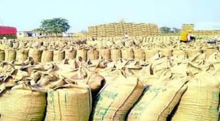 राज्य में अवैध धान की आवाजाही रोकने प्रशासन सक्रिय, सीमावर्ती चेकपोस्टों पर कड़ी निगरानी