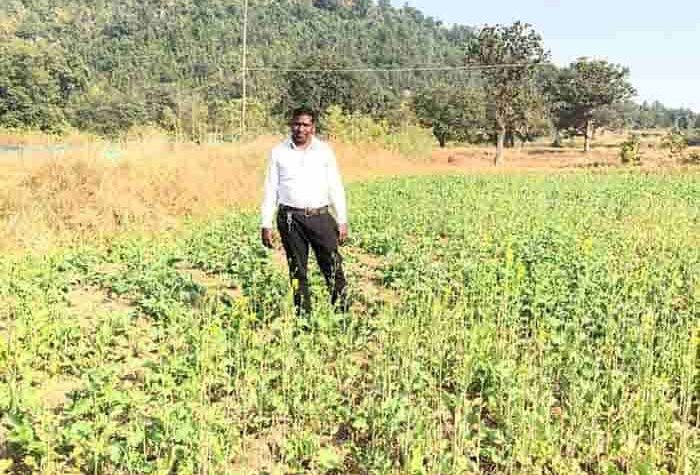 बीज से समृद्धि तक: धन-धान्य योजना ने बिछाई किसानों के लिए ‘गोल्डन पाथ’