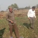 जेवरा के किसान दिलीप सिन्हा ने दलहन-तिलहन से 25 लाख रुपये कमाए