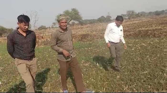 जेवरा के किसान दिलीप सिन्हा ने दलहन-तिलहन से 25 लाख रुपये कमाए