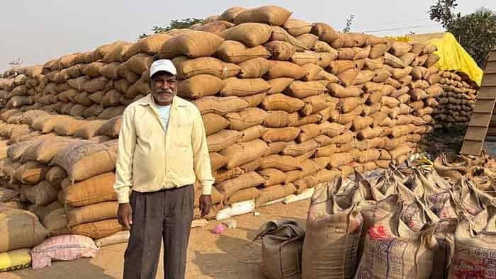 धान की बेहतर कीमत से किसान युगल का हौसला बढ़ा