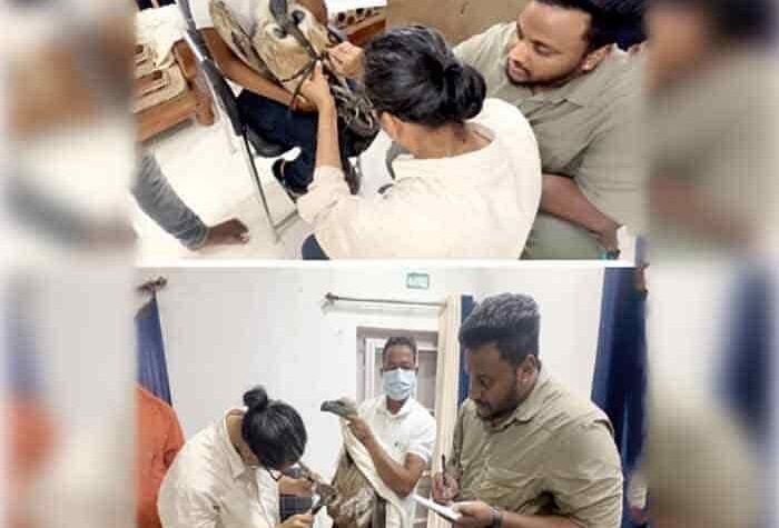 छत्तीसगढ़ में गिद्ध संरक्षण को बढ़ावा देने नई पहल की शुरुआत