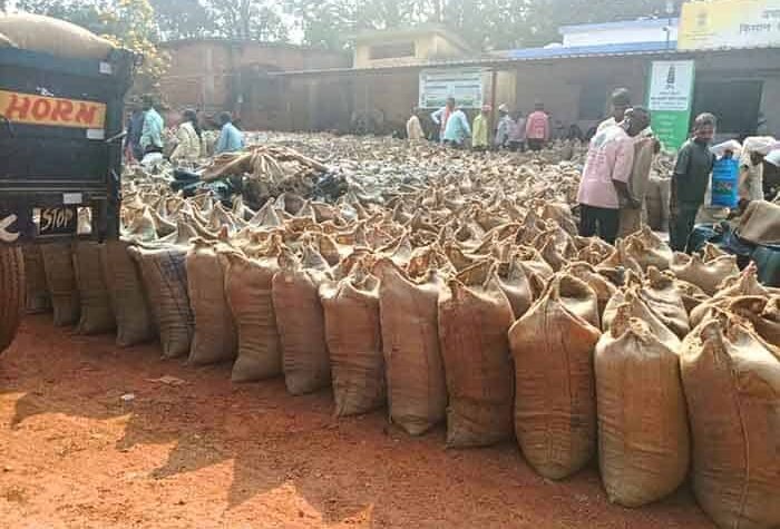 सोने जैसा धान, सड़कों पर बदहाल: साल्हेवारा समिति की लापरवाही उजागर