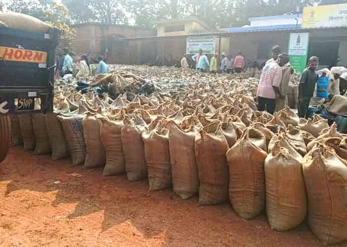 सोने जैसा धान, सड़कों पर बदहाल: साल्हेवारा समिति की लापरवाही उजागर