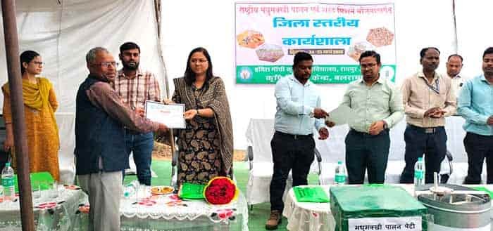 मधुमक्खी पालन से किसानों की आय 20 से 25 प्रतिशत तक बढ़ सकती है