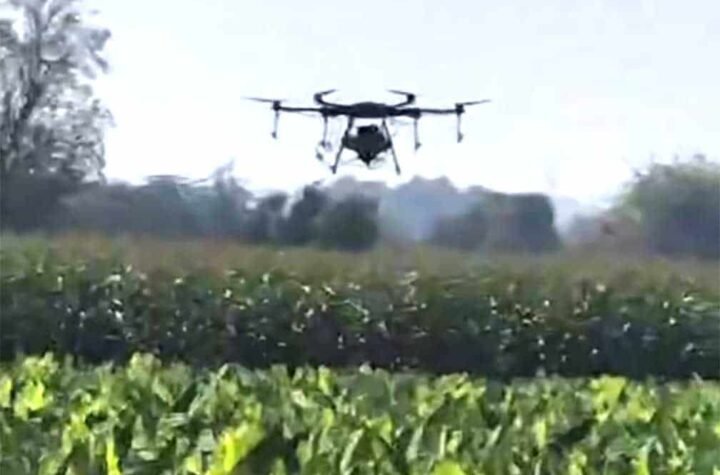 खेती में डिजिटल तकनीक से नई उड़ान, किसानों को मिल रहा फायदा
