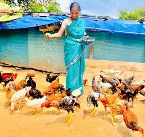 ‘दीदी के बखरी’ से एकीकृत कृषि और आजीविका को बढ़ावा मिल रहा है