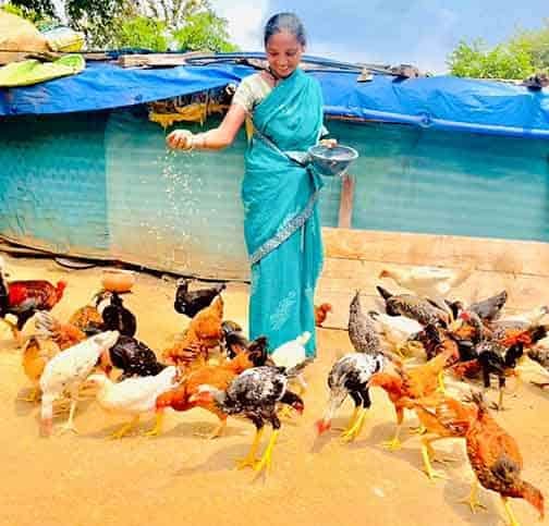 ‘दीदी के बखरी’ से एकीकृत कृषि और आजीविका को बढ़ावा मिल रहा है