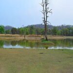 भीषण गर्मी में बारनवापारा बना वन्यजीवों की ‘संजीवनी’, राहत की सांस ले रहे जीव