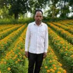 फूलों की खेती से कम लागत में अधिक लाभ मिला