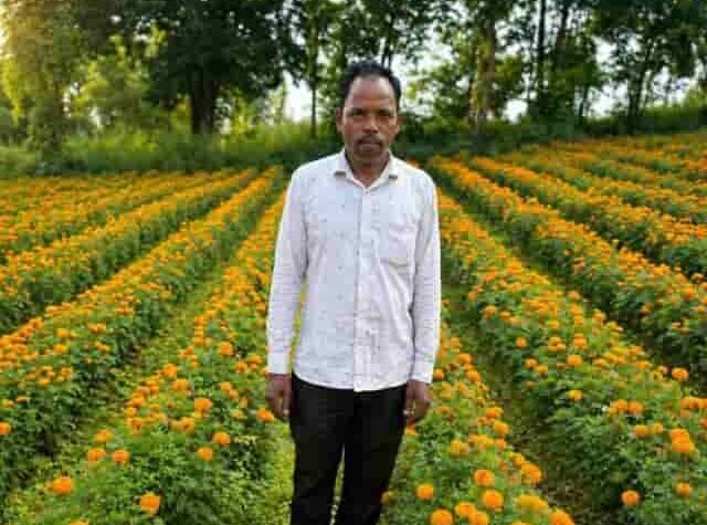 फूलों की खेती से कम लागत में अधिक लाभ मिला