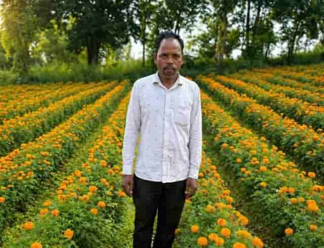 फूलों की खेती से कम लागत में अधिक लाभ मिला