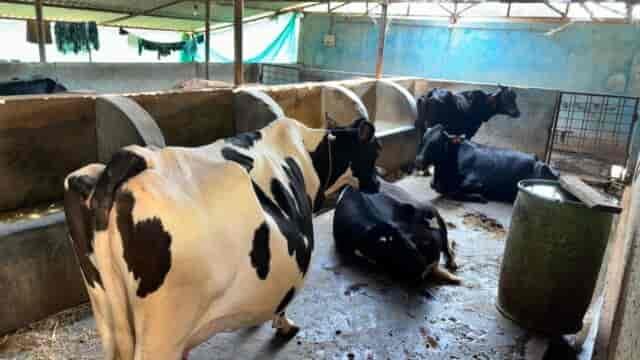 ललित यादव ने मजदूरी छोड़ मल्टी-फार्मिंग अपनाई