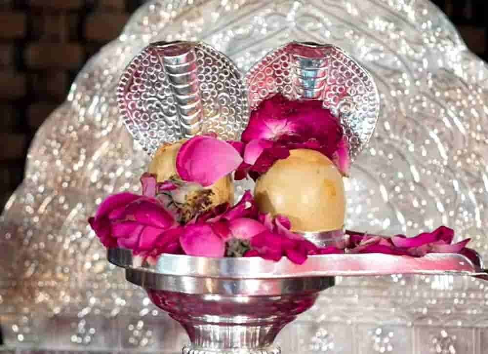 भक्ति का महासंगम—रायपुर में 29 अप्रैल को सोमनाथ ज्योतिर्लिंग के दिव्य दर्शन