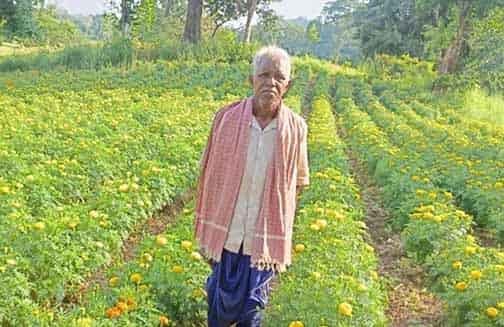 आनंदराम ने फूलों की खेती से बेहतर आय प्राप्त की