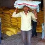 सहकारी समितियों में नियमित रूप से खाद और बीज का वितरण किया जा रहा