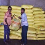धान से दलहन तक खेती में बड़ा बदलाव! नैनो यूरिया और वैकल्पिक खाद को बढ़ावा