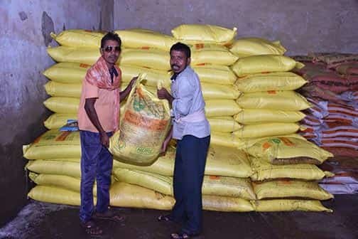 धान से दलहन तक खेती में बड़ा बदलाव! नैनो यूरिया और वैकल्पिक खाद को बढ़ावा