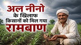 कृषि विभाग ने किसानों से एल-नीनो की चुनौती को अवसर में बदलने का आह्वान किया
