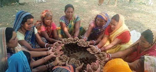 सीड बॉल अभियान से प्रकृति संरक्षण और हरित जशपुर निर्माण पर जोर