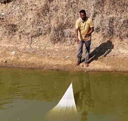 मत्स्य पालन ग्रामीण समृद्धि और आय बढ़ाने का सशक्त माध्यम बन रहा