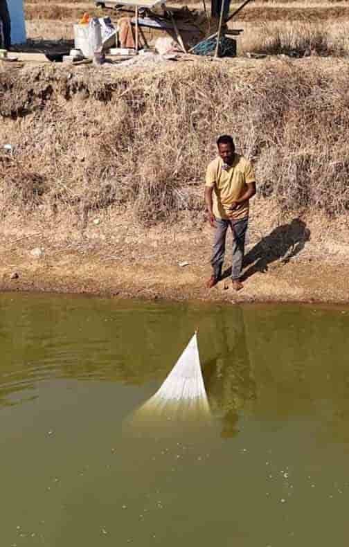 मत्स्य पालन ग्रामीण समृद्धि और आय बढ़ाने का सशक्त माध्यम बन रहा