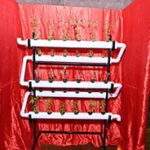 हाइड्रोपोनिक्स तकनीक कम पानी, कम जगह और अधिक उत्पादन वाली आधुनिक खेती का प्रभावी विकल्प