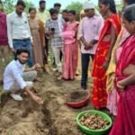 धमतरी का नगरी बनेगा हल्दी की नई पहचान, वैज्ञानिक खेती से बढ़ेगा उत्पादन