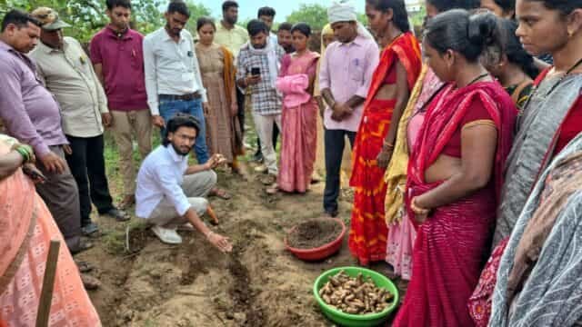 धमतरी का नगरी बनेगा हल्दी की नई पहचान, वैज्ञानिक खेती से बढ़ेगा उत्पादन