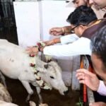 जन्मदिवस के अवसर पर वित्त मंत्री श्री ओपी चौधरी ने की गौ-सेवा, संरक्षण के प्रयासों को सराहा