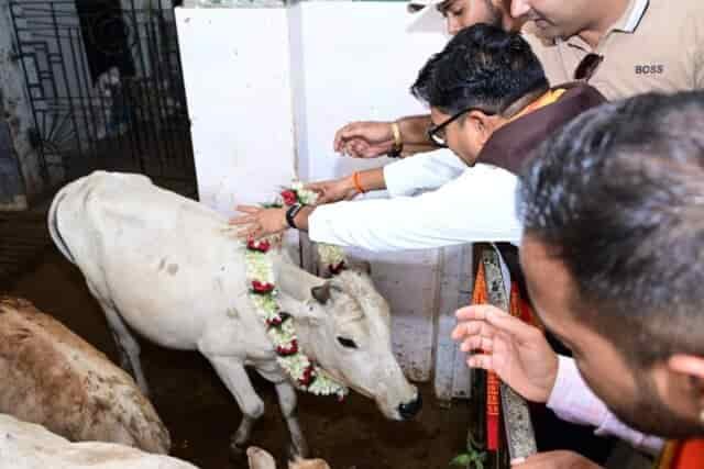जन्मदिवस के अवसर पर वित्त मंत्री श्री ओपी चौधरी ने की गौ-सेवा, संरक्षण के प्रयासों को सराहा
