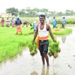 पीएम किसान योजना में गौरेला-पेन्ड्रा-मरवाही की बड़ी उपलब्धि, 80% लक्ष्य हुआ पूरा