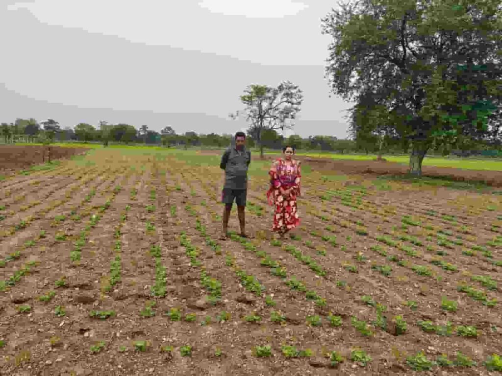 सफलता की कहानी: किसानों ने अपनाया लाभकारी फसलों का विकल्प