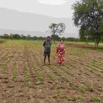 सफलता की कहानी: किसानों ने अपनाया लाभकारी फसलों का विकल्प