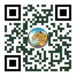 अंतरराष्ट्रीय बाघ दिवस पर ‘रन फॉर इंद्रावती’ मैराथन का आयोजन