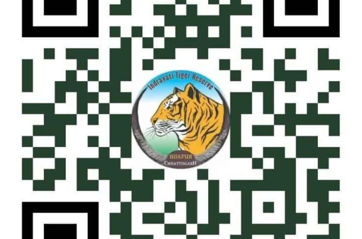 अंतरराष्ट्रीय बाघ दिवस पर ‘रन फॉर इंद्रावती’ मैराथन का आयोजन